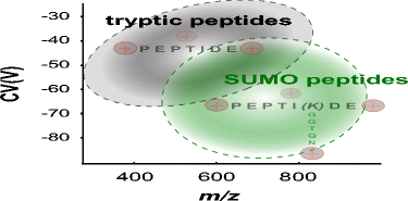 Graphical Abstract