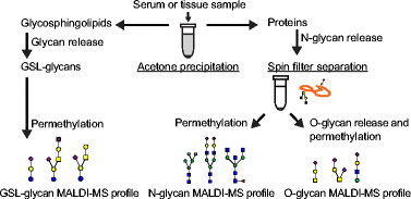 Graphical Abstract