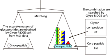 Graphical Abstract