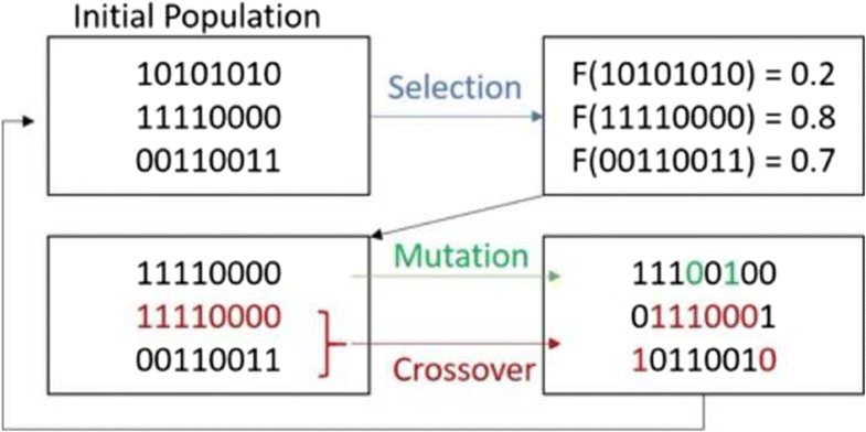 Graphical Abstract