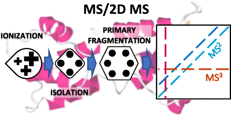 Graphical Abstract