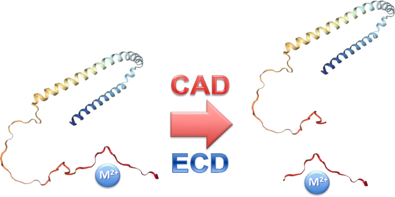 Graphical Abstract