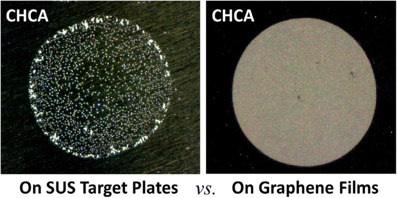 Graphical Abstract