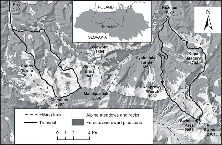 Daytime Activity Budget Of An Alpine Ungulate Tatra Chamois Rupicapra