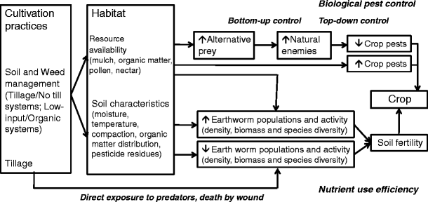 Agroecosystem Management And Biotic Interactions A Review - 
