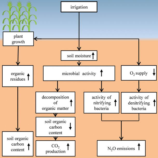 Irrigation, soil organic carbon and N2O emissions. A review | SpringerLink