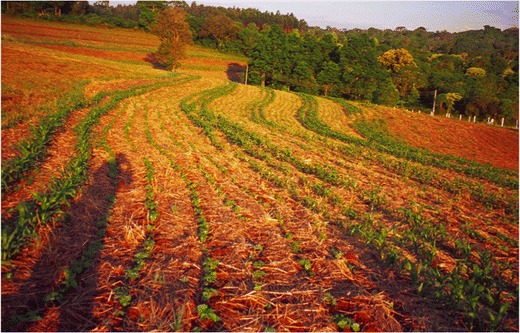 Agroecology And The Design Of Climate Change Resilient - 