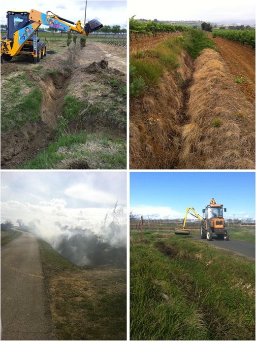 Managing Ditches For Agroecological Engineering Of Landscape A Open Image In New Window