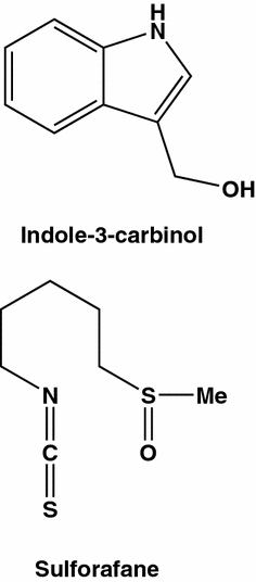 Fig. 12