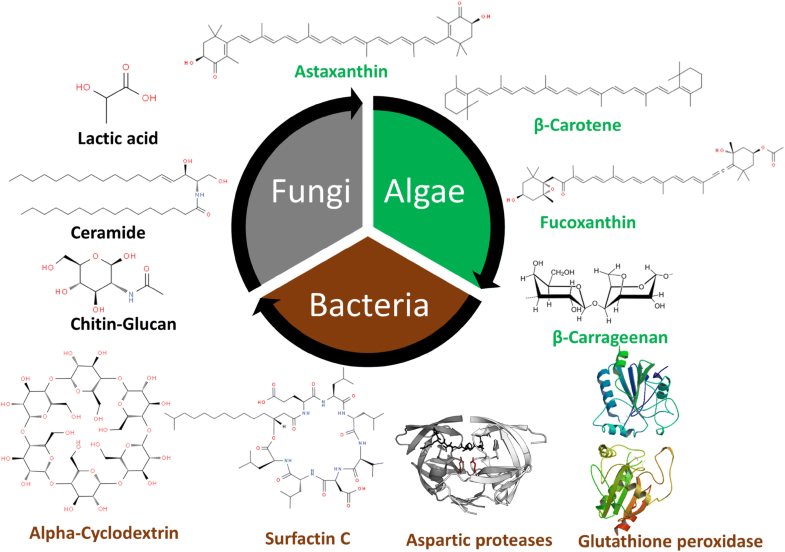 Eminence of Microbial Products in Cosmetic Industry SpringerLink