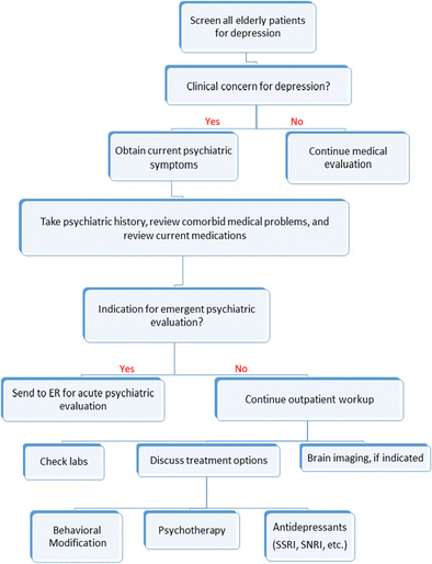 Treatment Resistant Depression In The Elderly Diagnostic - 