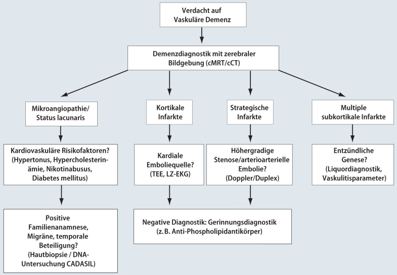 Fokal Neurologische Defizite Und Storung Der Exekutivfunktion