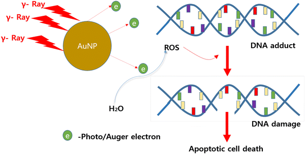 Photothermal therapy with gold nanoparticles as an anticancer