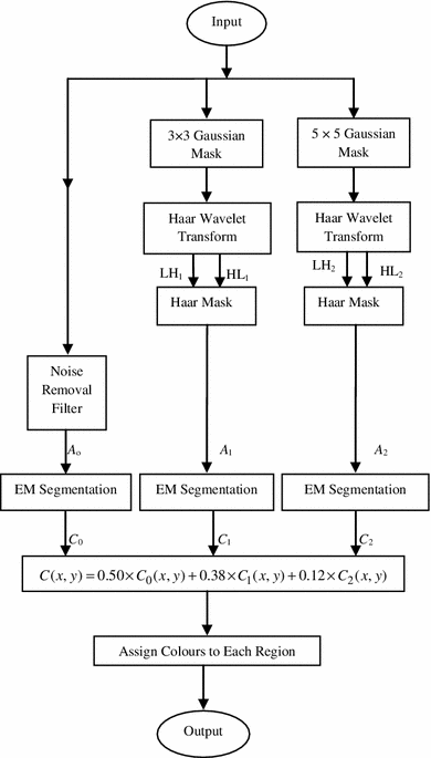 Automatic Ct Brain Image Segmentation Using Two Level Multiresolution Mixture Model Of Em Springerlink