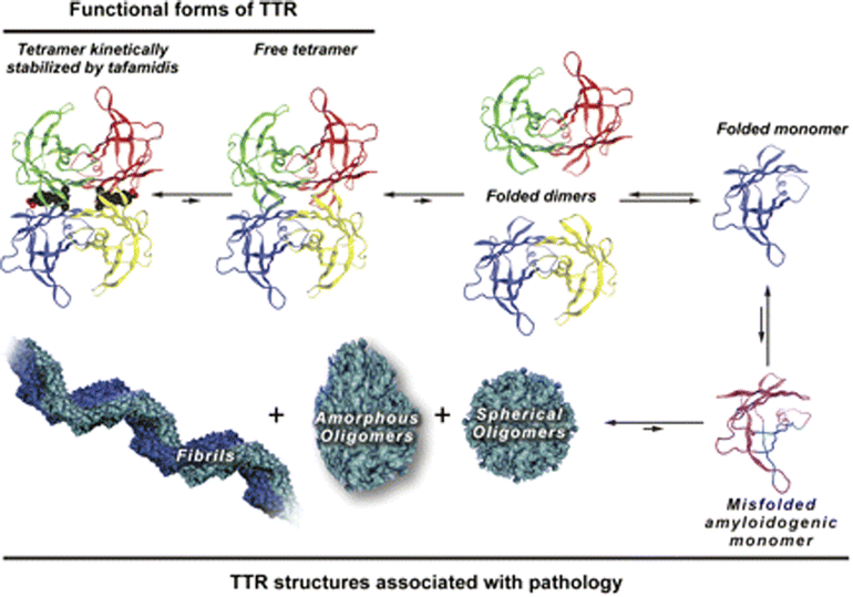 Fig. 1