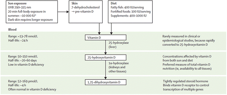 Vitamin D And Multiple Sclerosis A Comprehensive Review