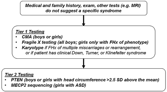 Newer Genetic Testing Methods May >> Advances In Genetic Diagnosis Of Autism Spectrum Disorders Newer Genetic Testing Methods May >> Advances In Genetic Diagnosis Of Autism Spectrum Disorders