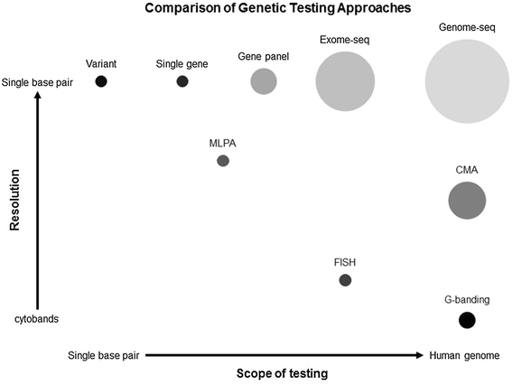 Newer Genetic Testing Methods May >> Advances In Genetic Diagnosis Of Autism Spectrum Disorders Newer Genetic Testing Methods May >> Advances In Genetic Diagnosis Of Autism Spectrum Disorders