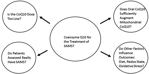 Does Coenzyme Q10 Supplementation Mitigate Statin Associated