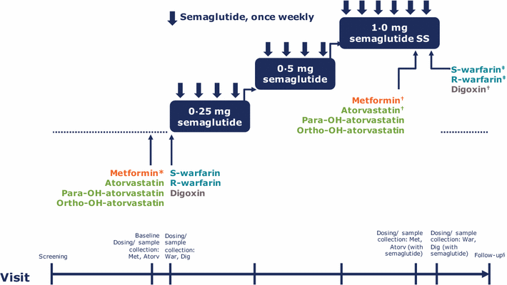 Effect of Semaglutide on the Pharmacokinetics of Metformin, Warfarin, Atorvastatin and Digoxin ...