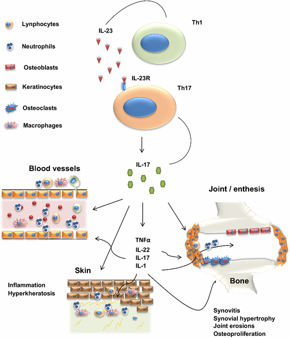 Beyond TNF Inhibitors New Pathways and Emerging