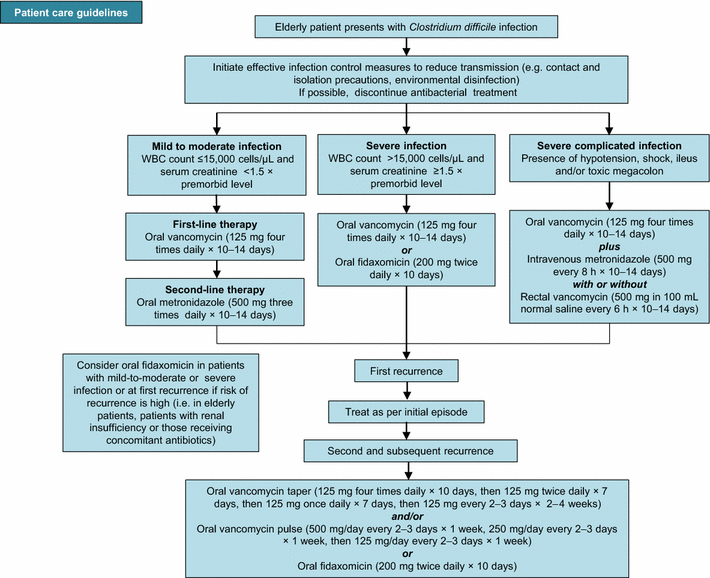 Treat Clostridium Difficile Infection In The Elderly Based On