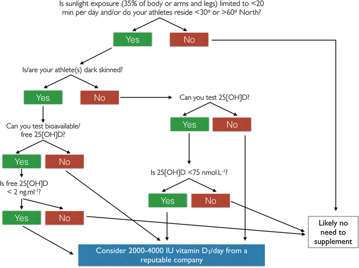 Vitamin D And The Athlete Current Perspectives And New