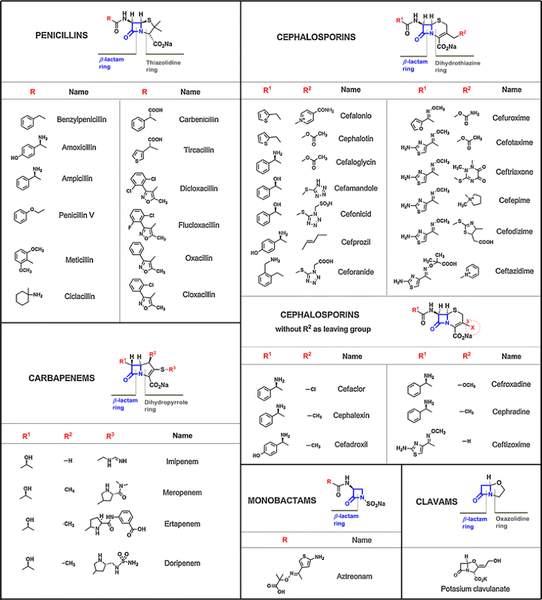 Cross Reactivity In Betalactam Allergy Alternative Treatments Open Image In New Window