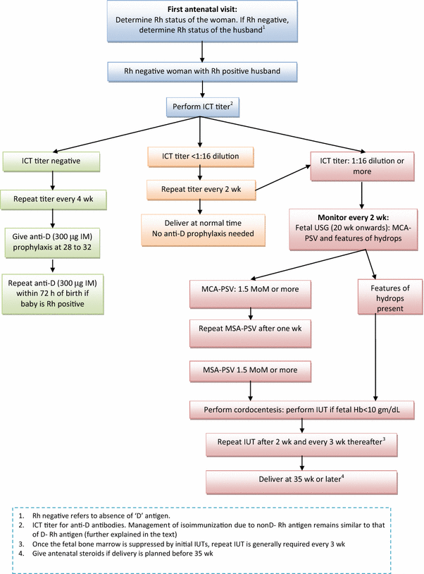 Rh Factor Incompatibility Chart