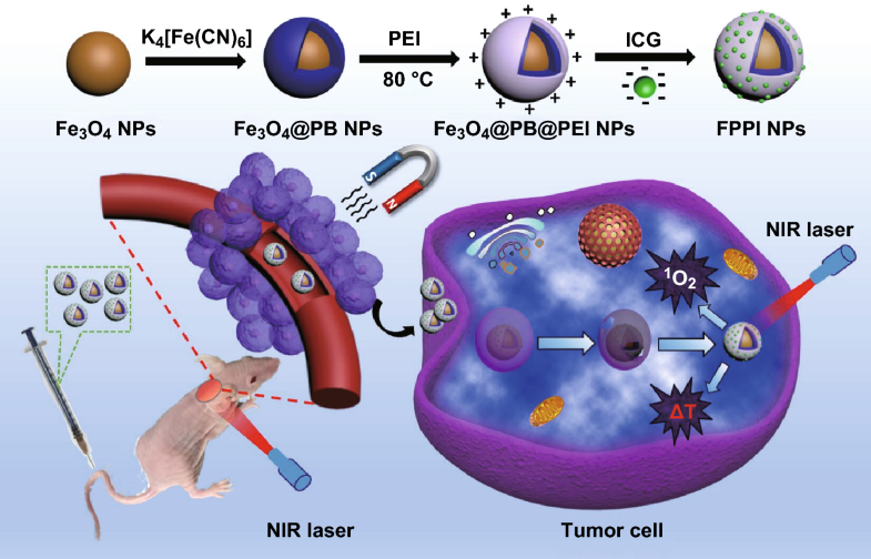 Indocyanine GreenConjugated Prussian Blue Nanoparticles for