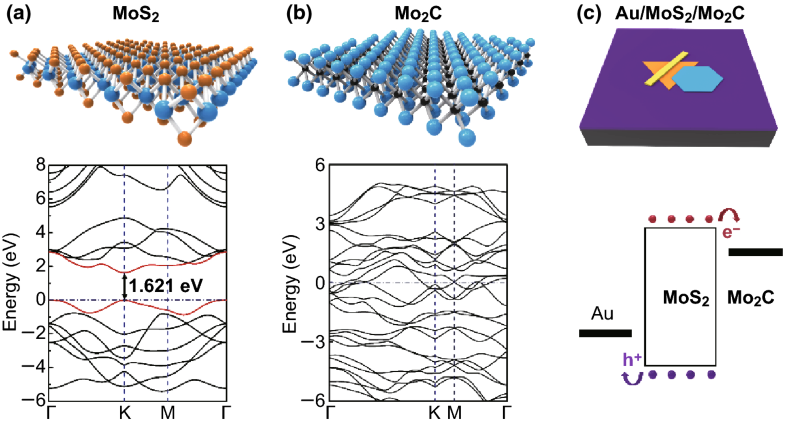 MoS2-Based Photodetectors Powered by Asymmetric Contact Structure with ...