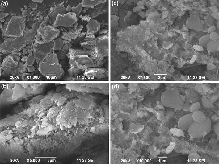 BioEnzymatic Stabilization of a Soil Having Poor Engineering