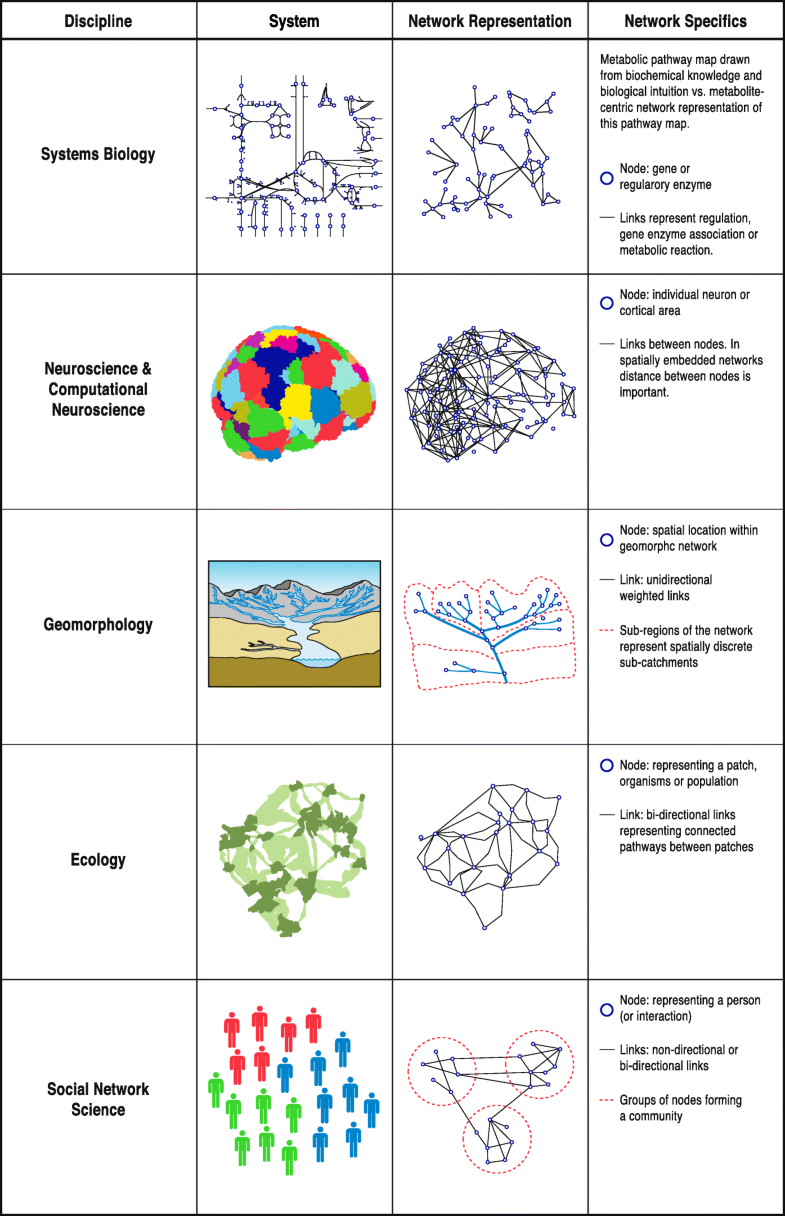 Fig. 1 Network-based representation of structural and functional connectivity