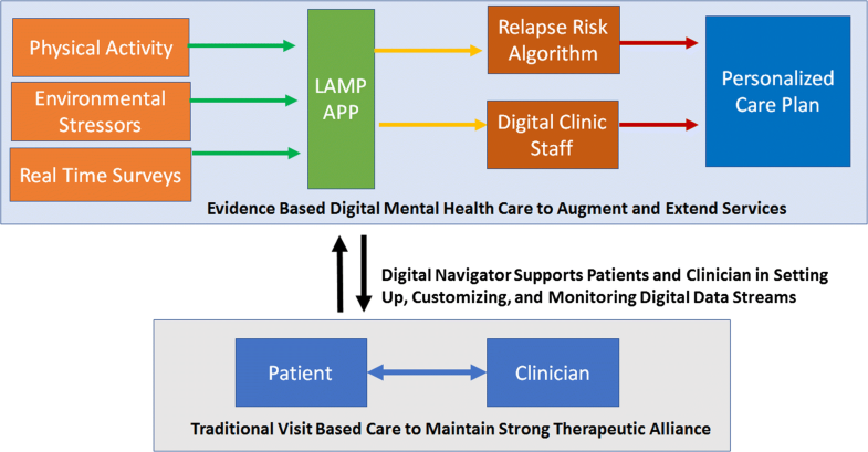 Unmet Needs for the Digital Mental Health