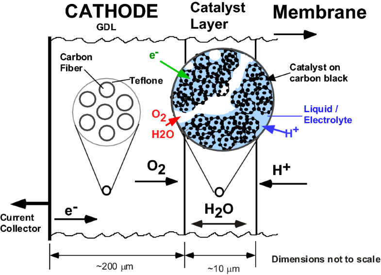 Modeling of PEM Fuel Cell Catalyst Layers Status and Outlook