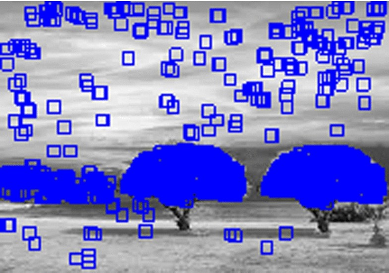 Block-based copy–move image forgery detection using DCT | SpringerLink