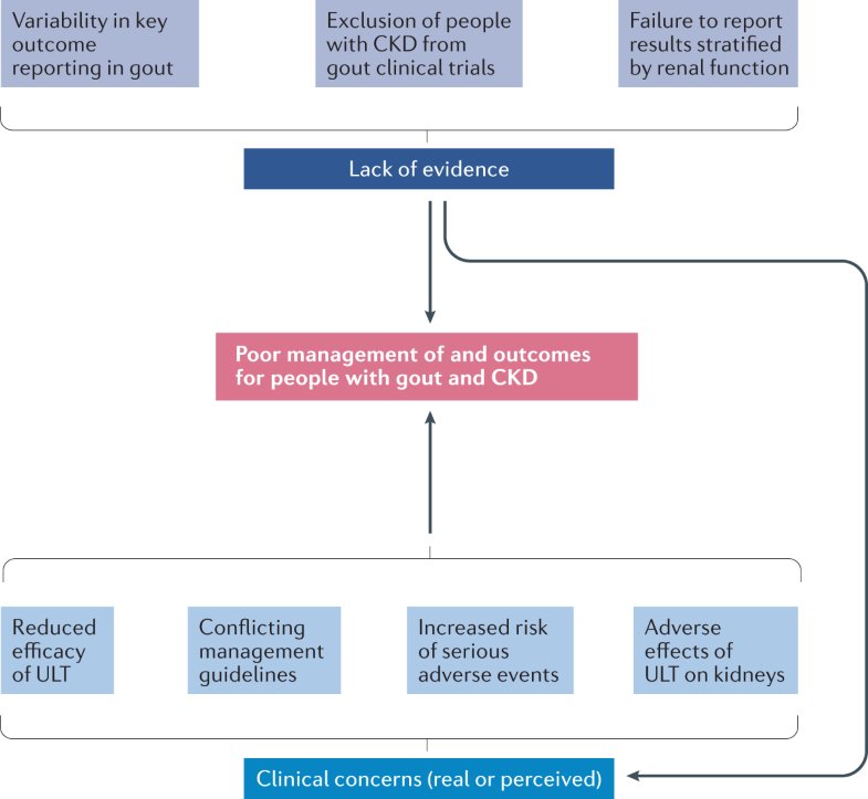 G-CAN Framework Image