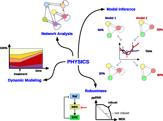 The Physics Behind Systems Biology Springerlink - 