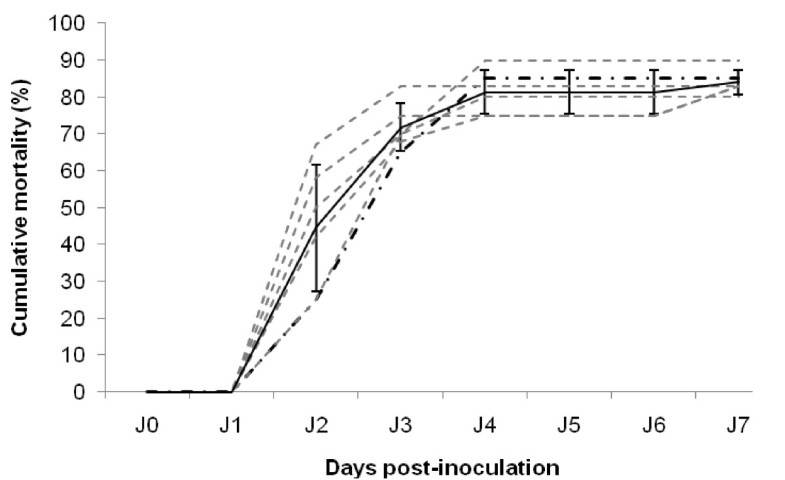 oyster spat mortality rate oyster spat mortality rate