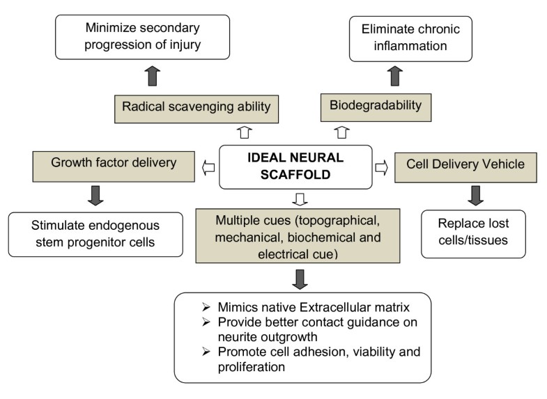 Development of biomaterial scaffold for nerve tissue engineering
