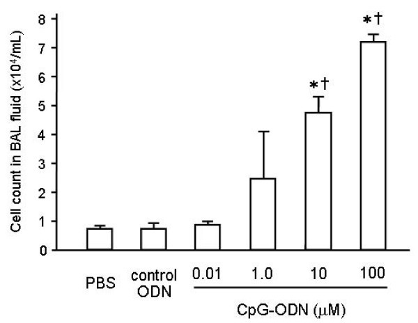 intratracheal synthetic cpg