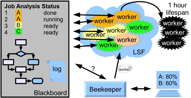eHive: An Artificial Intelligence workflow system for genomic analysis