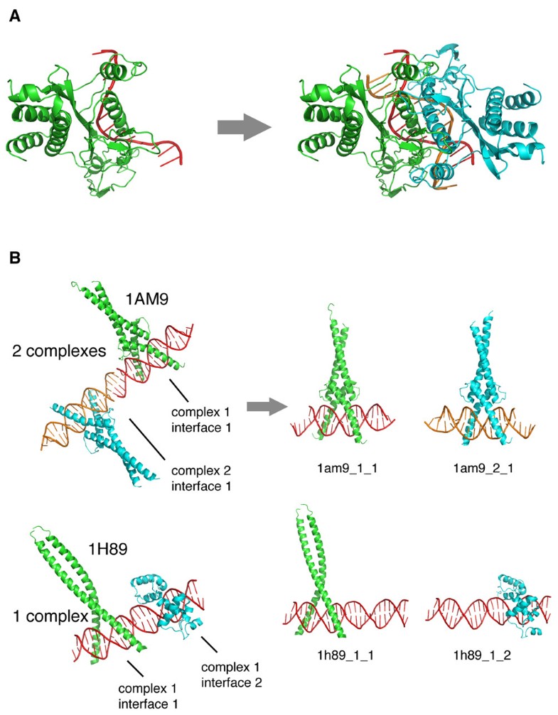 The ProteinDNA Interface database BMC Bioinformatics Full Text