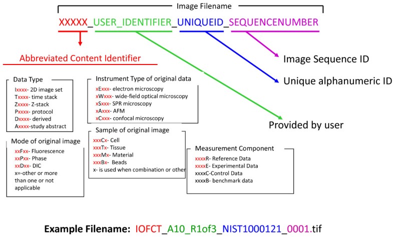 Конфигурация сети raveos. Variable naming convention. Naming schemes. Типы vlan. Команды mysql шпаргалка.