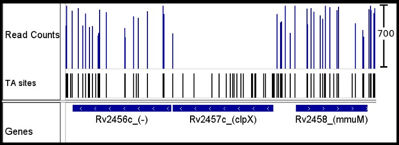 discovery1.school.nz