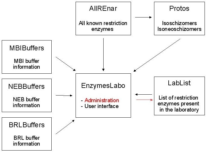 Fermentas Restriction Enzymes Buffer Activity Chart