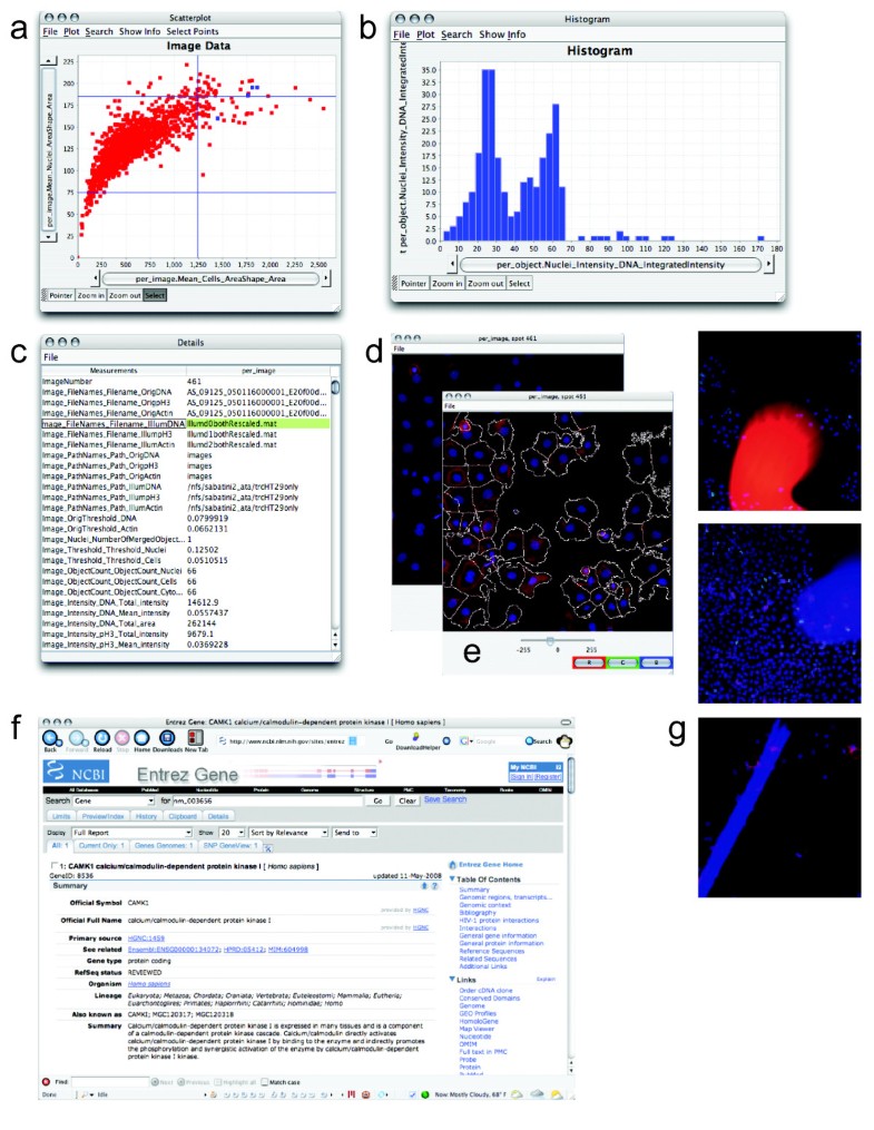 cellprofiler output during processing