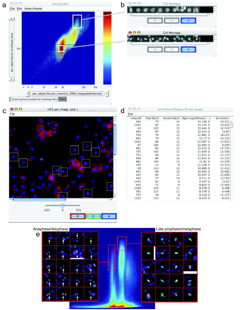 cellprofiler csv cellprofiler csv
