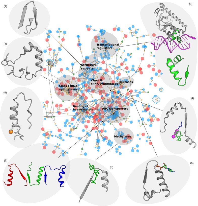 Exploring the evolution of protein function in Archaea BMC