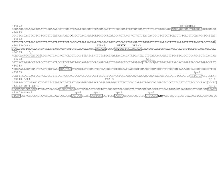 Sequence Analysis Of Coding And 3 And 5 Flanking Regions Of The Epithelial Sodium Channel A B And G Genes In Dahl S Versus R Rats Springerlink Sequence Analysis Of Coding And 3 And 5 Flanking Regions Of The Epithelial Sodium Channel A B And G Genes In Dahl S Versus R Rats Springerlink